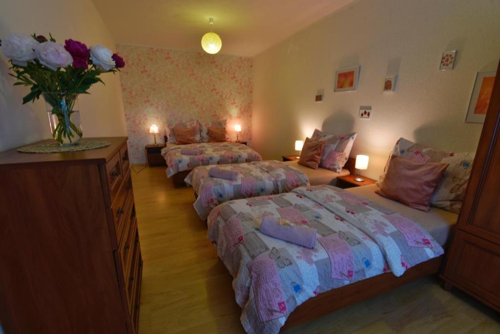 Apartmany Branickov المظهر الخارجي الصورة